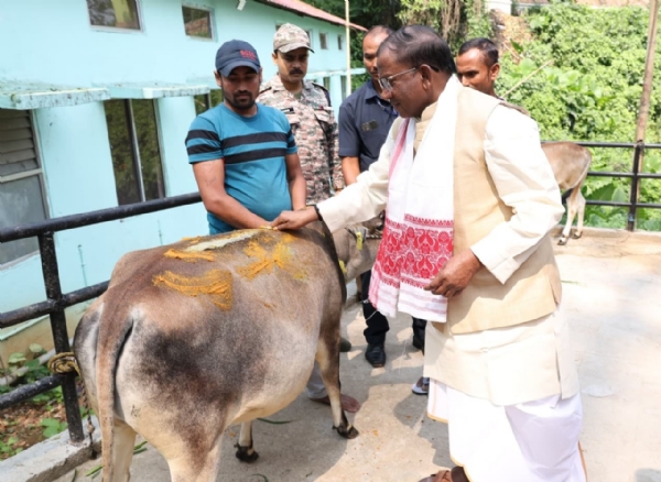 ঐতিহ্যবাহী রীতিতে গরু বিহু উদযাপন রাজ্যপালের ঐতিহ্যবাহী রীতিতে গরু বিহু উদযাপন রাজ্যপালের