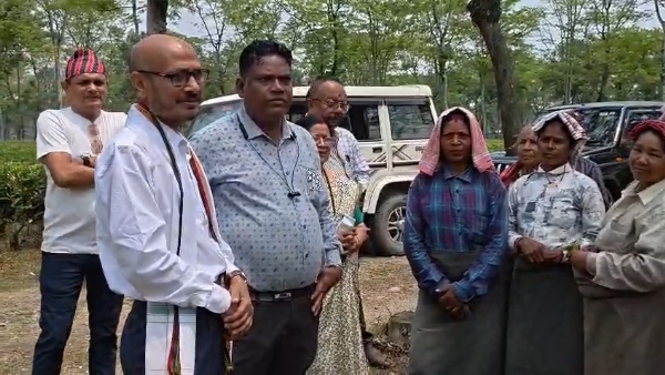 ধূপগুড়ি টিএমসি