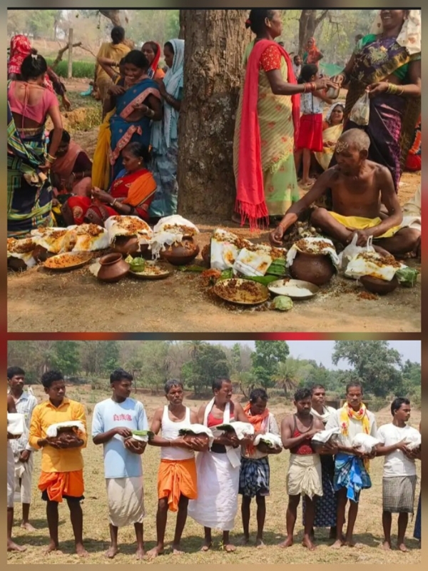 বস্তারে ‘আমা যোগানি’ উৎসব, পূজার আগে আম নিষিদ্ধ