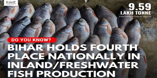 বিহারের মাছের চাহিদা দেশ-বিদেশে বৃদ্ধি, ৩৯ হাজার টনের বেশি রপ্তানি
