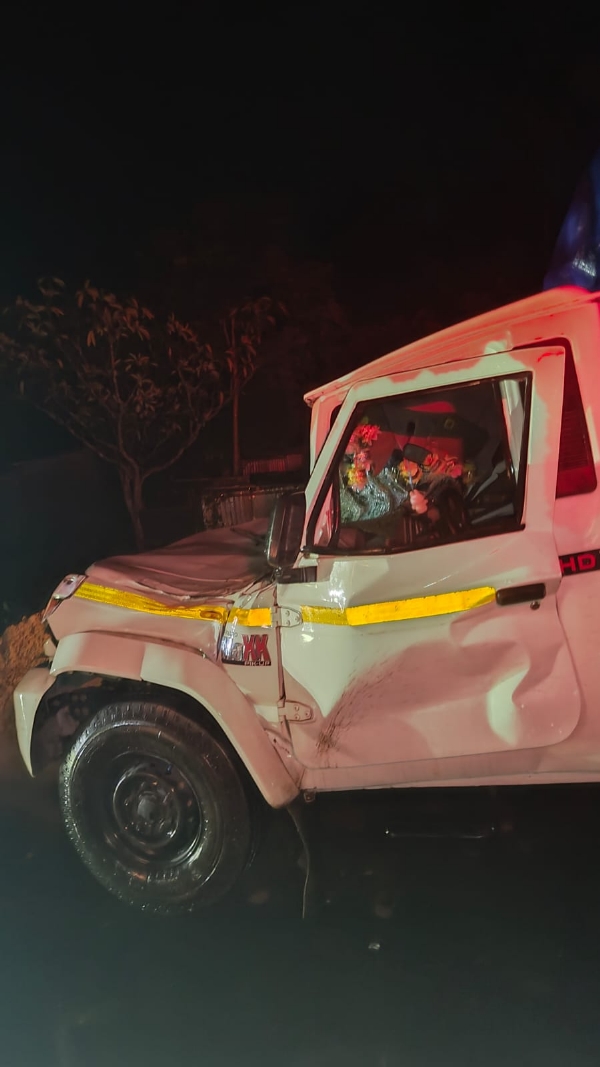 গাছ ভেঙে গাড়ির উপর