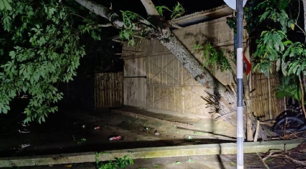 ঝড়-তুফানে ব্যাপক ক্ষয়ক্ষতি (চিত্ৰ ২)