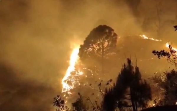 রুদ্রপ্রয়াগে বাড়ছে দাবানলের ঘটনা, কঠোর ব্যবস্থা নিচ্ছে প্রশাসন