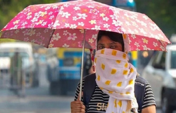 মাধ্যপ্রদেশে ২০টিরও বেশি জেলায় তাপপ্রবাহের সতর্কতা জারি