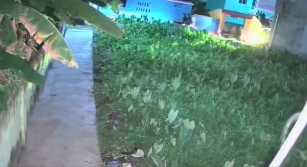 বাইকবাহিনীর দাপট; ভোটারদের হুমকি, নির্বাচন কমিশনের নির্দেশে এফআইআর