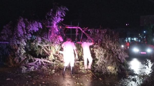 গাছ পড়ে সড়ক বন্ধ