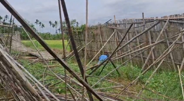 পানের বরজ তছনছ