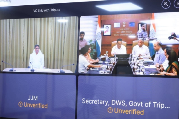 ভার্চুয়াল বৈঠক