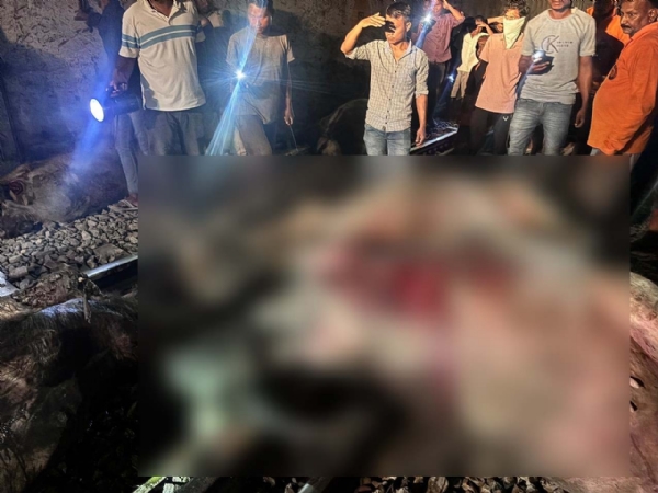 শিলচর-শিয়ালদহ কাঞ্চনজঙ্ঘার ধাক্কায় মৃত্যু ২০-এর বেশি মহিষের শিলচর-শিয়ালদহ কাঞ্চনজঙ্ঘার ধাক্কায় মৃত্যু ২০-এর বেশি মহিষের