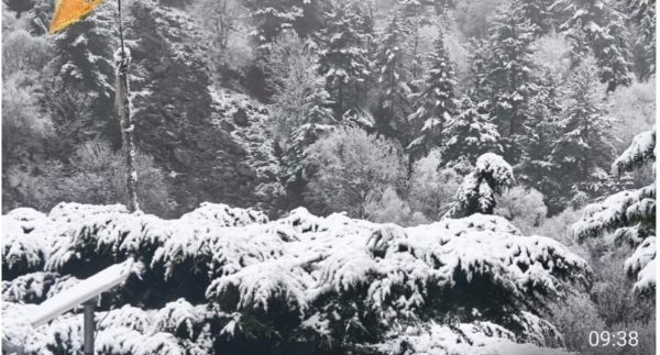 উত্তরাখণ্ডে টানা বর্ষণ ও তুষারপাত, কমলো পারদ উত্তরাখণ্ডে টানা বর্ষণ ও তুষারপাত, কমলো পারদ
