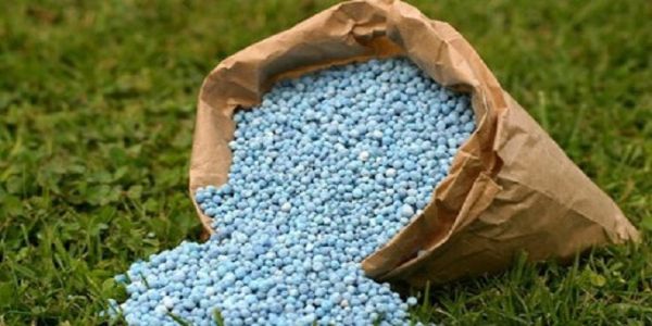 খরিফ মরশুমে ফসফেটিক ও পটাসিক সারে পুষ্টি-ভিত্তিক ভর্তুকি অনুমোদন মন্ত্রিসভায়