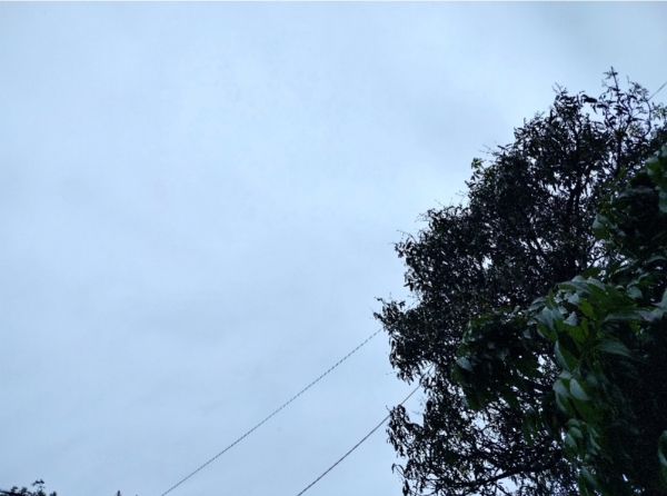 উত্তরাখণ্ডে টানা বর্ষণ ও তুষারপাত, কমলো পারদ উত্তরাখণ্ডে টানা বর্ষণ ও তুষারপাত, কমলো পারদ