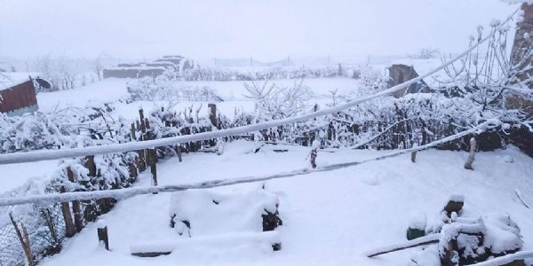 তুষারপাত ও অকাল বৃষ্টিতে বিপর্যস্ত নেপাল, চিন্তায় কৃষকরা