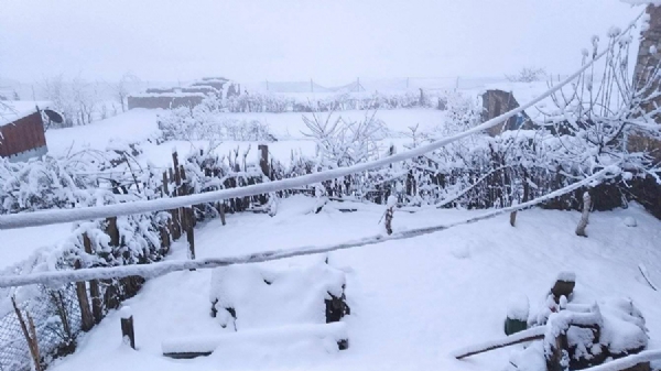 তুষারপাত ও অকাল বৃষ্টিতে বিপর্যস্ত নেপাল, চিন্তায় কৃষকরা তুষারপাত ও অকাল বৃষ্টিতে বিপর্যস্ত নেপাল, চিন্তায় কৃষকরা