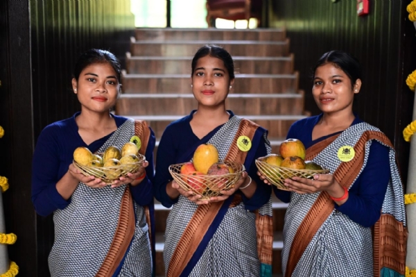 মুর্শিদাবাদের আম উৎসব ১ জুন থেকে চালু
