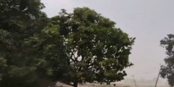 (আপডেট) উত্তর প্রদেশে প্রবল ঝড়-বৃষ্টিতে মৃতের সংখ্যা বেড়ে ৮৯