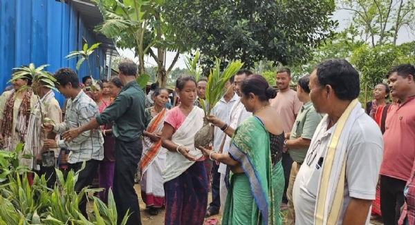 চারা বিতরণ কর্মসূচি চারা বিতরণ কর্মসূচি