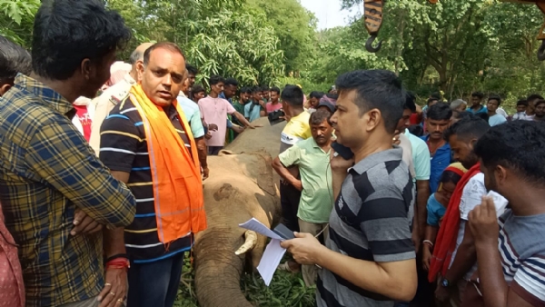 বেপরোয়া বালি বোঝাই ট্রাক্টরের ধাক্কায় প্রাণ গেল এক যুবকের। এই ঘটনায় আহত হয়েছেন আরও যুবক