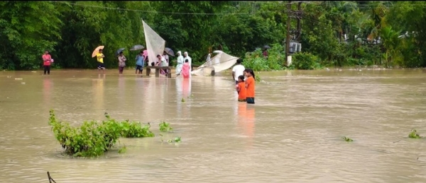 প্লাবিত পাথারকান্দির বুবরিঘাট চা বাগানের বিস্তীর্ণ এলাকা প্লাবিত পাথারকান্দির বুবরিঘাট চা বাগানের বিস্তীর্ণ এলাকা