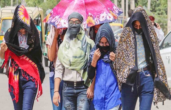 অসহ্য গরম তেলেঙ্গানায়, ৭টি জেলায় তাপপ্রবাহে মৃত্যু ১৬ জনের