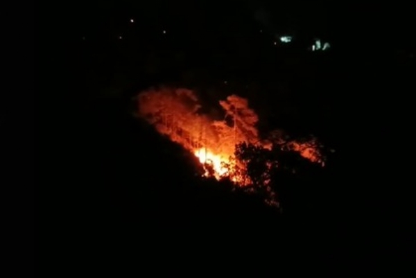 উত্তরাখণ্ডের জঙ্গলে ভয়াবহ দাবানল, আতঙ্ক জনবসতিপূর্ণ এলাকায়