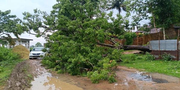 গণ্ডাছড়ায় ঝড়ে উপড়ে পড়া গাছে স্তব্ধ সড়ক