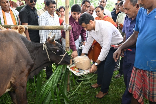 টিকাকরণ কর্মসূচি