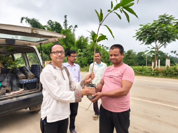 খোয়াইয়ে চারা বিতরণ