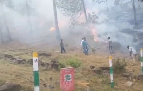 রাজৌরিতে এখনও নেভেনি জঙ্গলের আগুন, ছড়াচ্ছে আতঙ্ক রাজৌরিতে এখনও নেভেনি জঙ্গলের আগুন, ছড়াচ্ছে আতঙ্ক