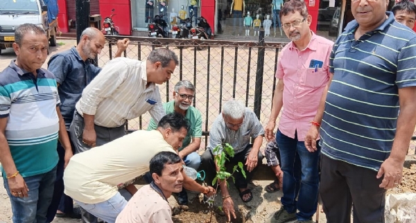 হাফলঙে বৃক্ষরোপণ কর্মসূচি