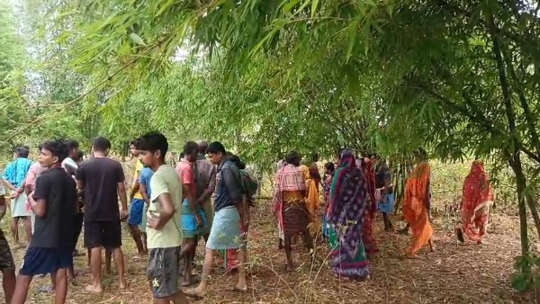হাতির হানায় মৃত্যু হাতির হানায় মৃত্যু