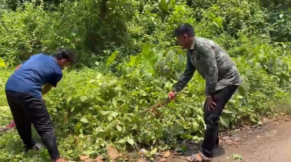 সাফাই অভিযান সাফাই অভিযান