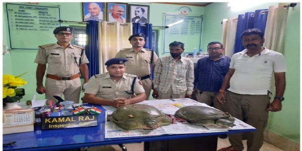 পানাগড় স্টেশনে দুন এক্সপ্রেস থেকে ১০ কেজির দুটি কচ্ছপ উদ্ধার, ধৃত ১