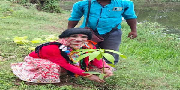 জামাইষষ্ঠীতে অভিনব উদ্যোগ গোলাপ সুন্দরীর,শাশুড়ির নামে একটি গাছ