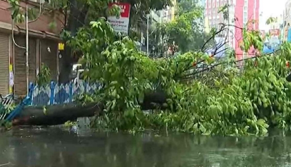 ঝড়-বৃষ্টিতে চাঁদনি চকে ভেঙে পড়ল গাছ, যান চলাচলে বিঘ্ন
