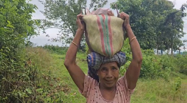 মহিলারা মাথায় করে সামগ্রী নিয়ে যান মহিলারা মাথায় করে সামগ্রী নিয়ে যান