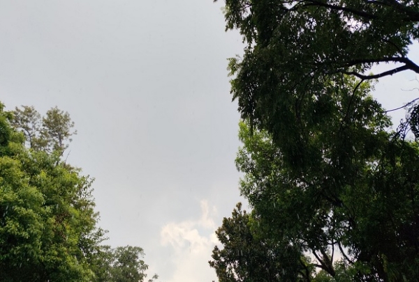 অবশেষে স্বস্তির বৃষ্টি গোটা উত্তরাখণ্ডে, বৃষ্টি চলতে পারে সপ্তাহ জুড়ে