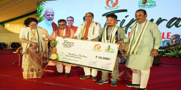 ত্রিপুরার কুইন আনারসে বিশ্ববাজারের আস্থা, দিল্লির বায়ার-সেলার মিটে ১১ কোটি টাকার ১৮টি এলওআই
