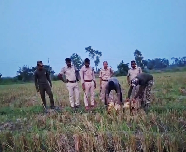 চোলাই মদের বিরুদ্ধে গোঘাট পুলিশের অভিযান
