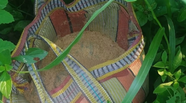 ফের সাগরদিঘিতে বোমা উদ্ধার, ছড়ালো আতঙ্ক!
