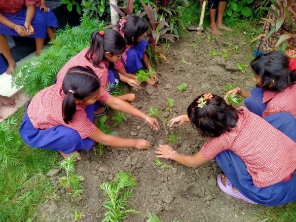 বৈকুনঠপুরে বিশ্ব পরিবেশ দিবস পালন