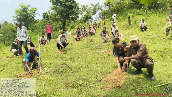 গাছের চারা রোপণ কার্যক্রম