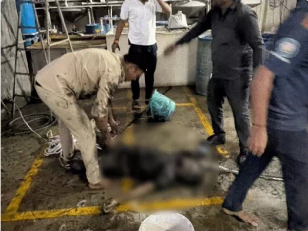 সুরাটে ট্যাঙ্ক পরিষ্কার করতে নেমে ৪ সাফাইকর্মীর মৃত্যু