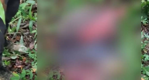 কাঙপোকপি জেলায় সন্দেহভাজন জঙ্গি হামলায় নিহত চুংজাংলুং পানমেই