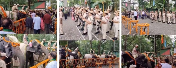 মানস টাইগার রিজার্ভে অবসরপ্রাপ্ত প্রবীণ হাতি প্রমিলা ও পূর্ণিমাকে সংবর্ধনার কয়েকটি দৃশ্য মানস টাইগার রিজার্ভে অবসরপ্রাপ্ত প্রবীণ হাতি প্রমিলা ও পূর্ণিমাকে সংবর্ধনার কয়েকটি দৃশ্য