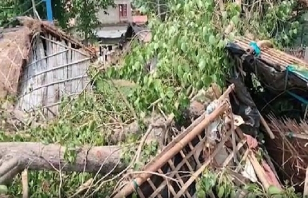 সীতামরহিতে ঘরের ওপর গাছের ডাল ভেঙে ৫ জনের মৃত্যু