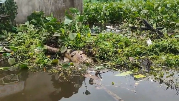 মৃতদেহ উদ্ধার