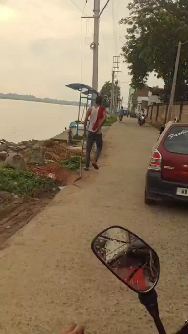 সাপের কামড়