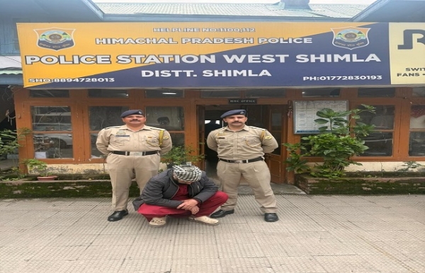 শিমলায় একটি বাড়ি থেকে মাদক উদ্ধার,গ্রেফতার এক যুবক