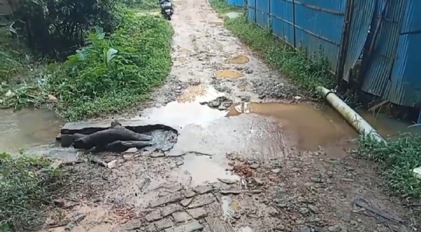 রাস্তার বেহাল অবস্থা
